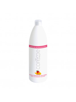 Huile de modelage Mangue 1L COREME