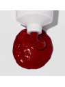 Soin repigmentant Coquelicot Rouge ColorBalm 250ml BIOLAGE